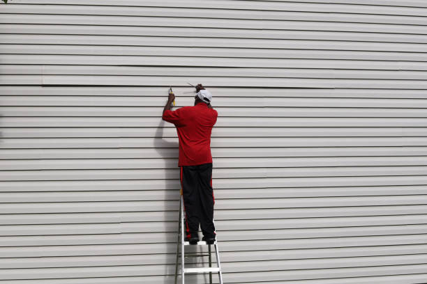 Best Custom Trim and Detailing for Siding  in Alpharetta, GA